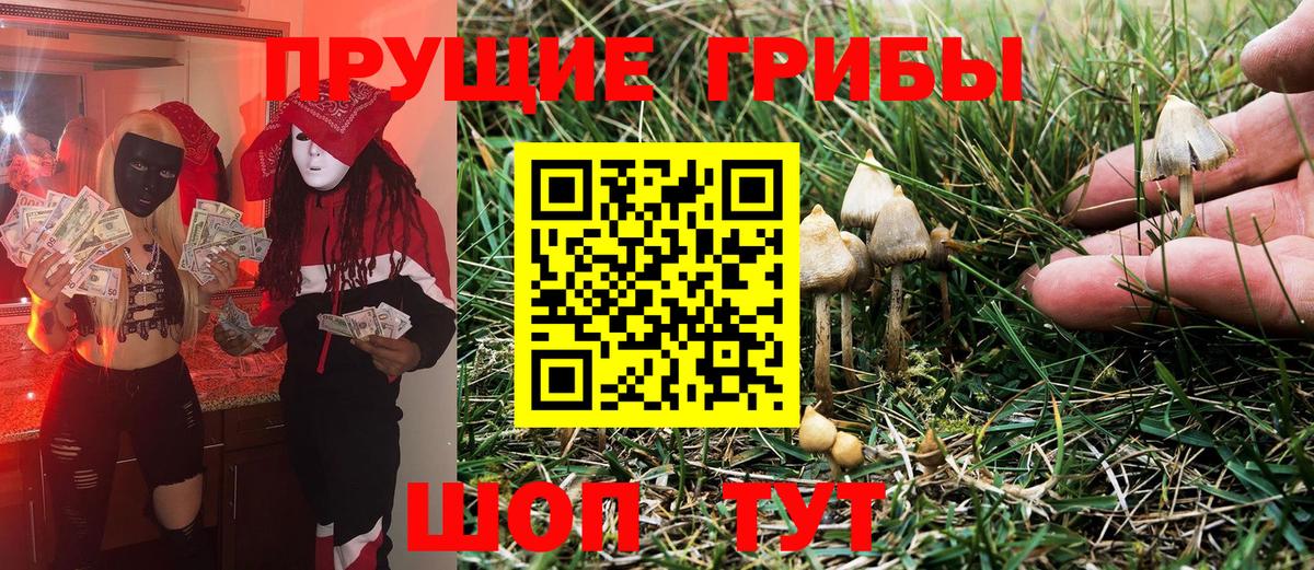 Псилоцибиновые грибы Cubensis Бузулук
