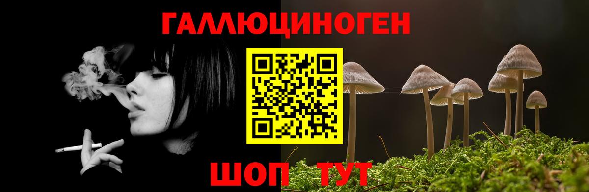 где продают наркотики  Вход с VPN  Бузулук  Галлюциногенные грибы Psilocybine cubensis 